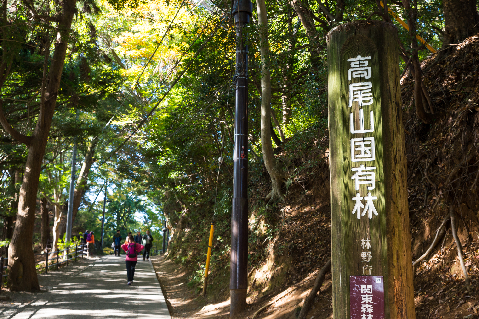 アクティブでもオシャレ 高尾山の登山コーデ Rcawaii