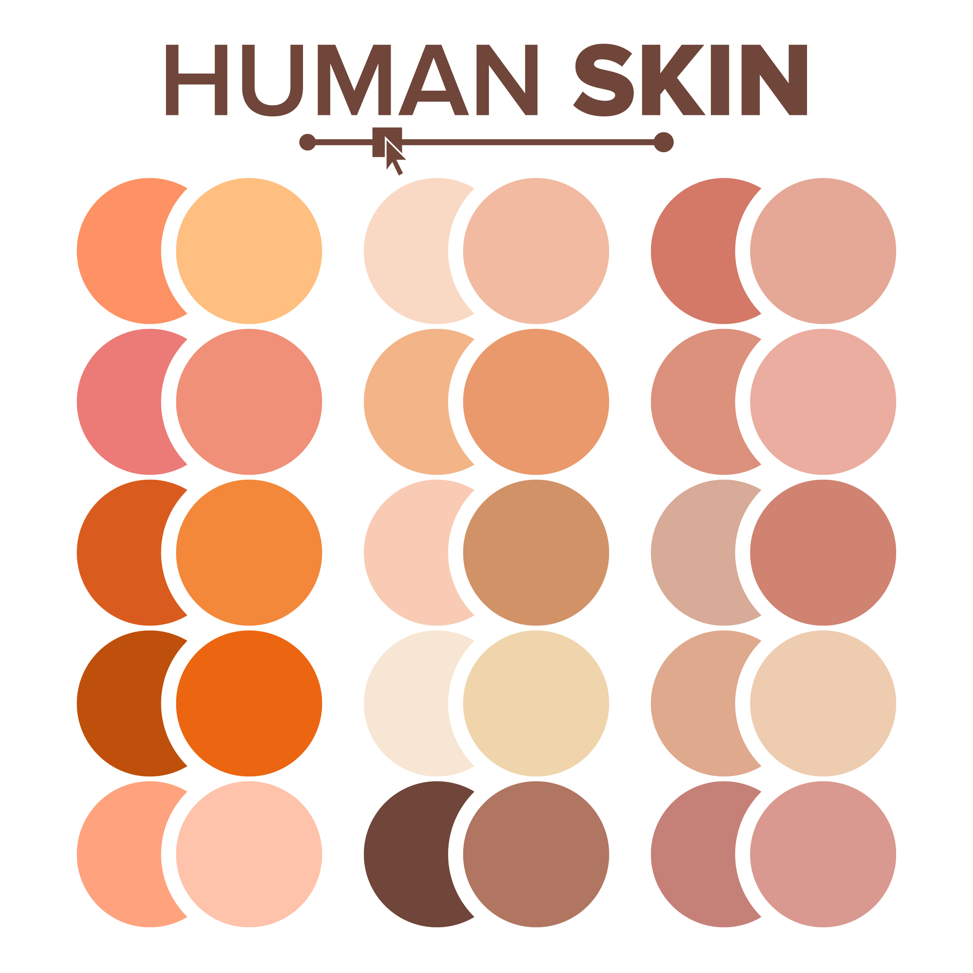 Skin Tones Human Skin Color Skin Color Chart Skin Col - vrogue.co