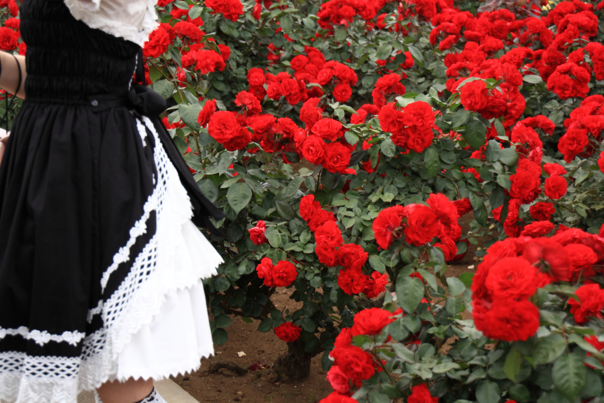 毒ロマンティックとは 甘い中にも毒があるコーデとは Rcawaii